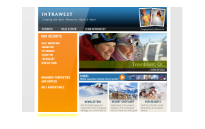 Intranet-website-design